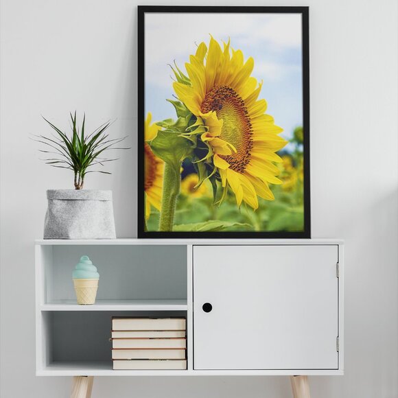16x20 Framed Sunflower Print in Color FREE SHIPPING